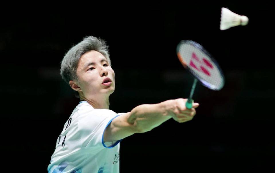 王哲林作为 王哲林作为