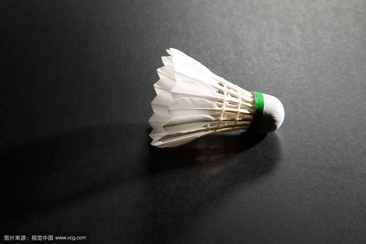 挥自己的潜 挥自己的潜